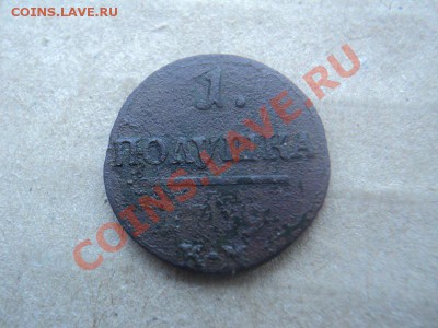 полушка 1799 км до 12.04.12 22:00 по мск вр. - DSC02845.JPG