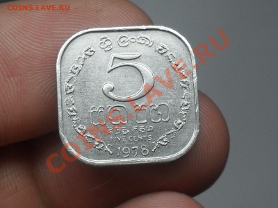 Короткие Аук! 5 Центов Шри-Ланка 1978  До 10-04-12 в 14-00 - SDC13626.JPG