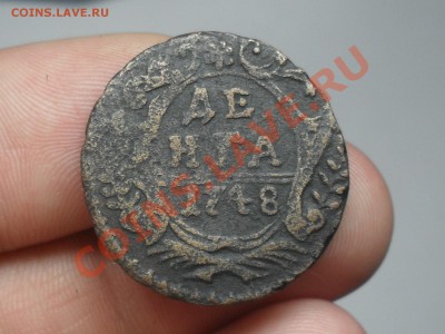 Короткие Аук! Денга 1748 года До 10-04-12 в 14-00 - SDC13634.JPG