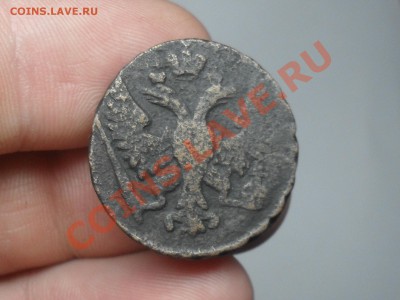 Короткие Аук! Денга 1748 года До 10-04-12 в 14-00 - SDC13636.JPG