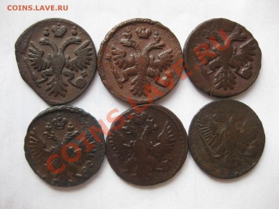 деньга (6шт)1735,37,39,50,51,54  до 13.04.12. - IMG_8377.JPG