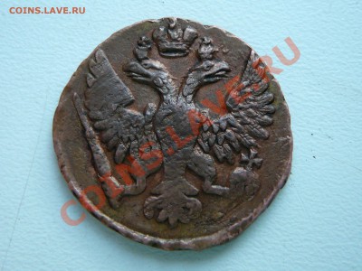 Денга 1738. Оценка. - P1120469.JPG