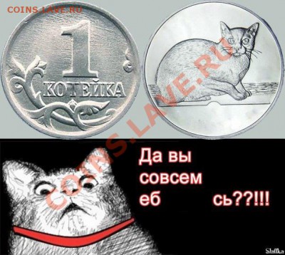 юмор - котейка