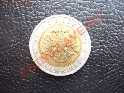 БМ Гималайский медведь РАСКОЛ 1993 до 22.00 19.04.12 - 100_6324