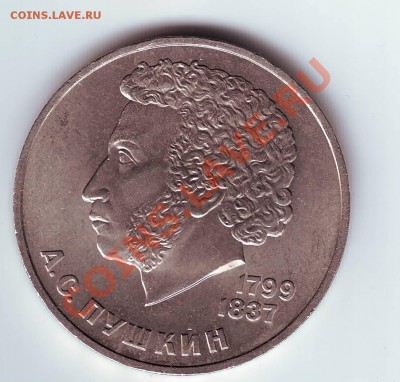 Пукин - IMAGE0031.JPG