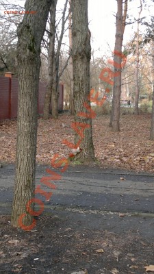 села(фото) - 17122011096