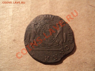 денга 1769 сибирь, "пушистые" до 18.04.12 22:00 по мск. - DSC02935.JPG