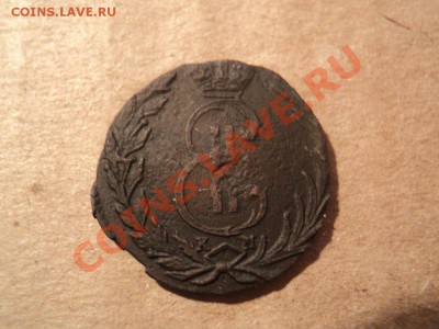 денга 1769 сибирь, "пушистые" до 18.04.12 22:00 по мск. - DSC02936.JPG