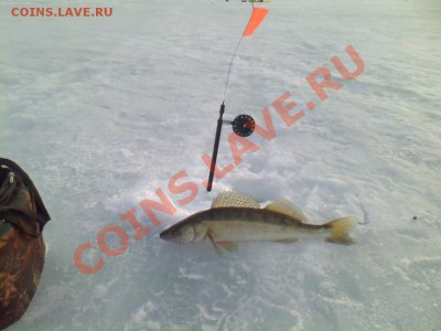 СТРАНИЧКА РЫБАКА - IMG0202A