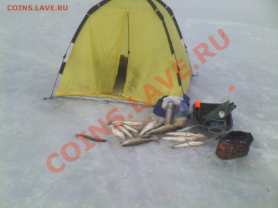 СТРАНИЧКА РЫБАКА - IMG0203A