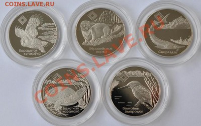 Монеты Беларуси (медно-никель и серебро). Дополняемая тема! - DSC_61351