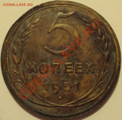 5 копеек 1931 - 5к 1931.JPG