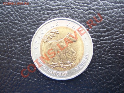 БМ Гималайский медведь РАСКОЛ 1993 до 22.00 19.04.12 - 100_6341.JPG