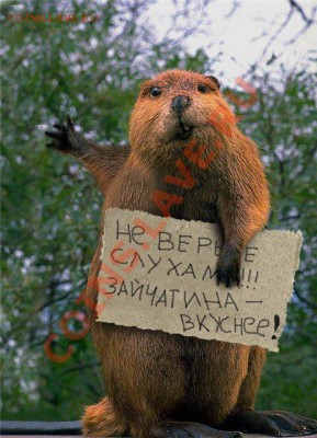 Ассоциация слов - a8b05df5cca0