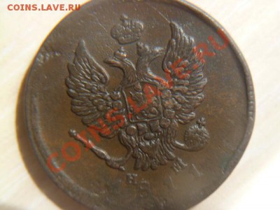 двушки 1811емнм,1814емнм,1818емнм, не плохие - P1020209-1 1811.JPG