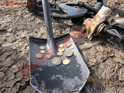 сегодня покапал малёха - IMG_0413.JPG