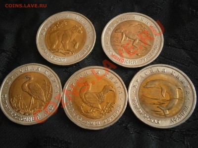КРАСНАЯ КНИГА 1991 и 1993 гг В СОХРАНЕ - P3150007.JPG
