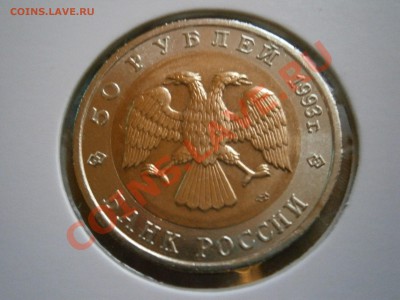КРАСНАЯ КНИГА 1991 и 1993 гг В СОХРАНЕ - P4100005.JPG