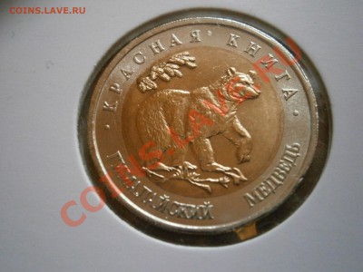 КРАСНАЯ КНИГА 1991 и 1993 гг В СОХРАНЕ - P4100004.JPG