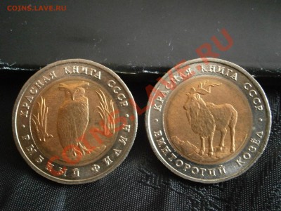 КРАСНАЯ КНИГА 1991 и 1993 гг В СОХРАНЕ - P3150001.JPG