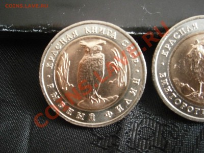 КРАСНАЯ КНИГА 1991 и 1993 гг В СОХРАНЕ - P3150024.JPG