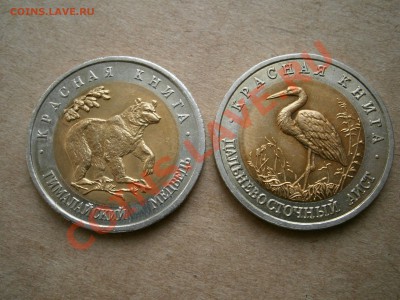 КРАСНАЯ КНИГА 1991 и 1993 гг В СОХРАНЕ - P4210029.JPG