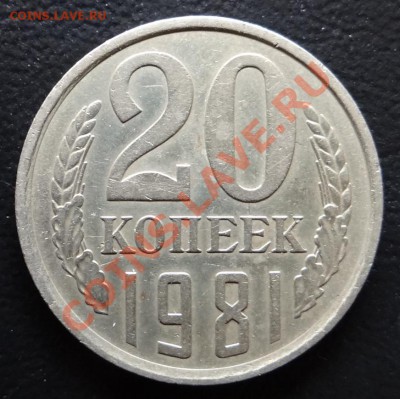 20 коп 1981 г. ( Хребет ) до 24.04 12. - DSC00500.JPG