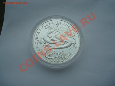 МОНЕТЫ ПОЛЬШИ, продажа, каталоги, альбомы - DSC05797.JPG