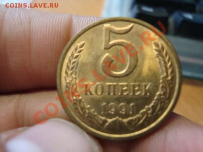 Браки - DSC05923.JPG