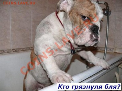 делает - прямо сейчас !!! - pJBa_y73VGw