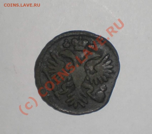 деньга 1731 года, без черты над годом - P8110091_thumb