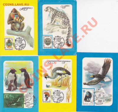 Продаю: Календарики - Подборка № 4-1985-1986_1