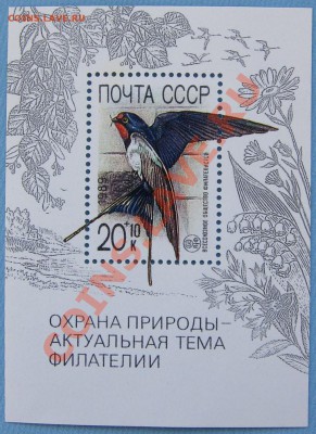 Марки СССР и России. Серии, малые листы.... - IMG_6101.JPG