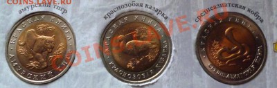 красная книга 1992г - P1000286.JPG
