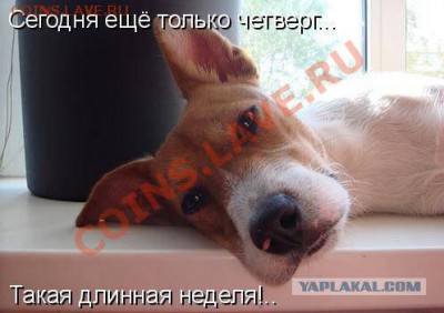 делает - прямо сейчас !!! - post-3-13233754949485