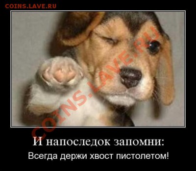 делает - прямо сейчас !!! - напоследок
