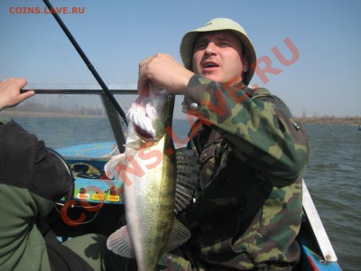 СТРАНИЧКА РЫБАКА - IMG_5591.JPG