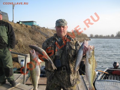 СТРАНИЧКА РЫБАКА - IMG_5597.JPG