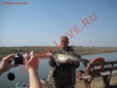 СТРАНИЧКА РЫБАКА - IMG_5613.JPG