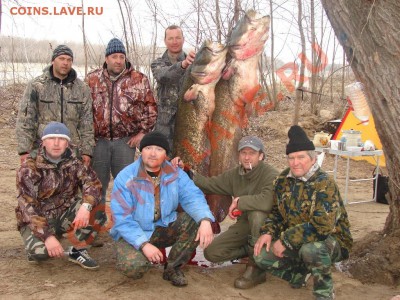 СТРАНИЧКА РЫБАКА - DSC09829.JPG
