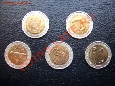Красная книга 1993 за 2200 руб - 100_6660
