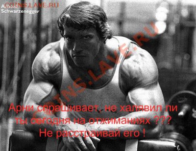 10000 отжиманий до 12.12.12. СТАРТ 30.01.2012!!! - 036