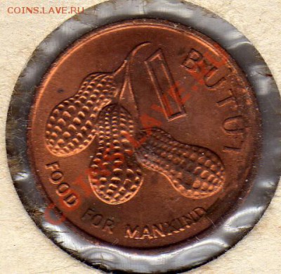 ГАМБИЯ БУТУТ 1974 ФАО ДО 03.05.12-22Ч (2031) - img900