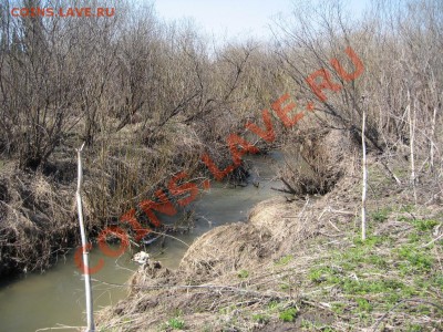 Кузбасский коп - IMG_3544