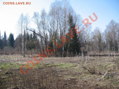 Кузбасский коп - IMG_3542