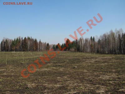Кузбасский коп - IMG_3541