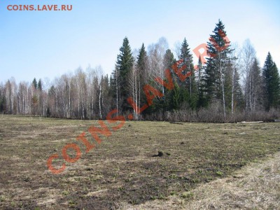 Кузбасский коп - IMG_3540