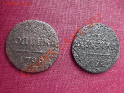 2 Павловских какалика - DSCF0265
