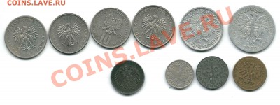лот польши - 2012-04-30 14-18-53_0323