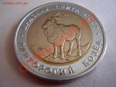 КРАСНАЯ КНИГА 1991г. Винторогий козел до 06.05.2012г. - P4140004.JPG